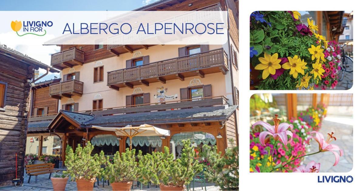 Albergo Alpenrose Livigno Exterior photo